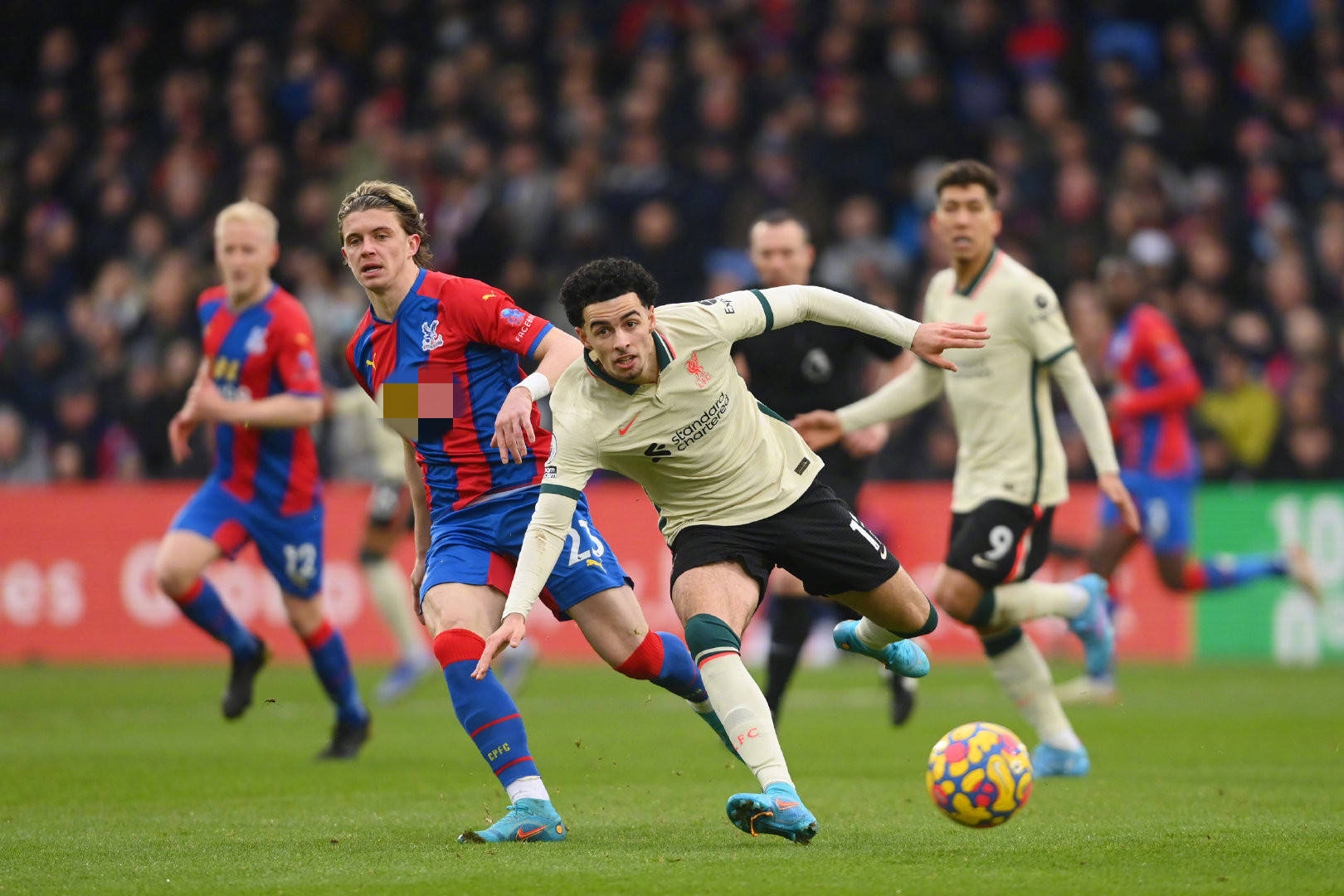 譬如某养殖 譬如某养殖